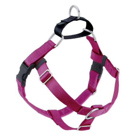 Raspberry Freedom No-Pull Dog Harness